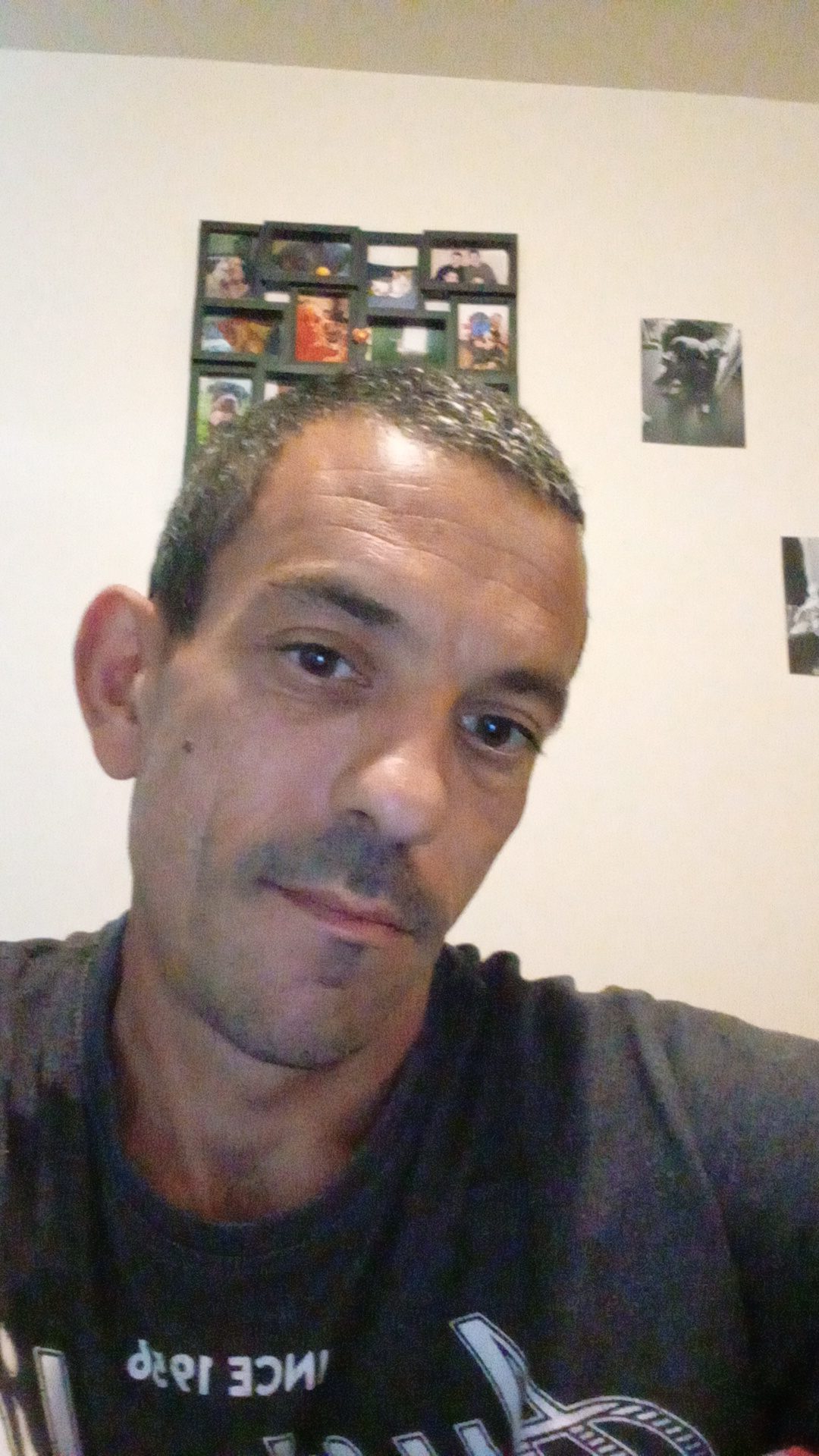 Profil de Stevin